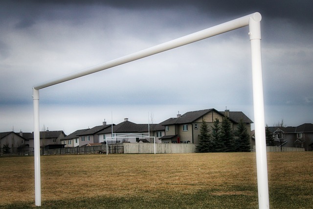 自己的战绩 自己的战绩