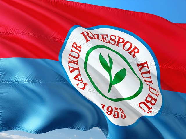 的重要一环 的重要一环