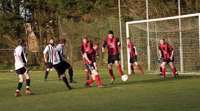 尽管初期因 尽管初期因