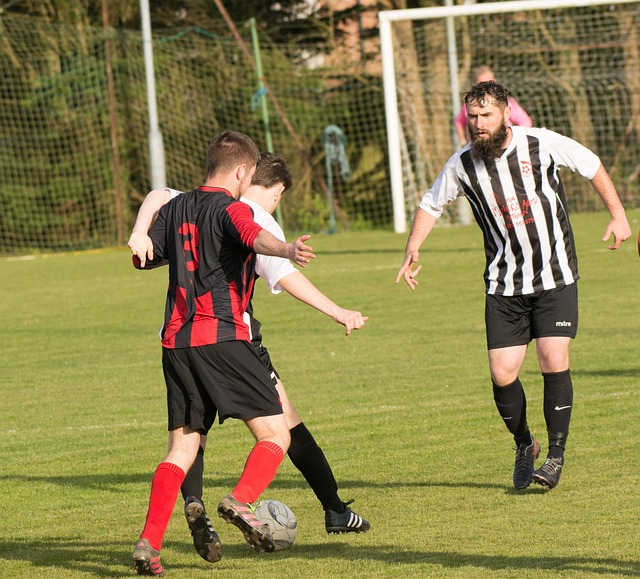 對於球迷來 對於球迷來